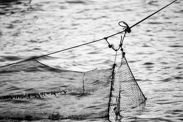 fishing on the lake