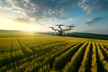 Agriculture drone monitors green corn field. Quadcopter aids crop surveillance, smart farm management, precision farming