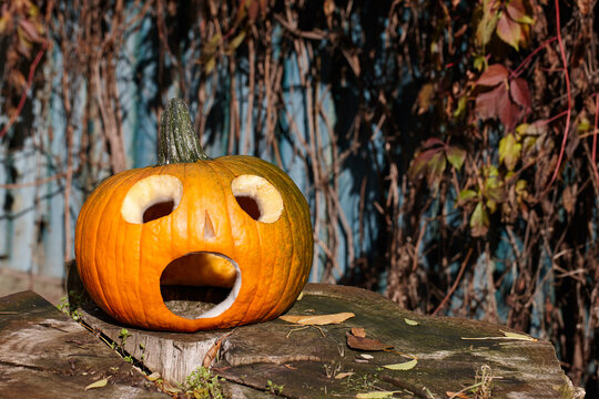 Surprised jack o'lantern made from big orange pumpkin