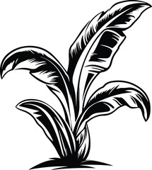 Banana Tree Leaf Logo Monochrome Design Style