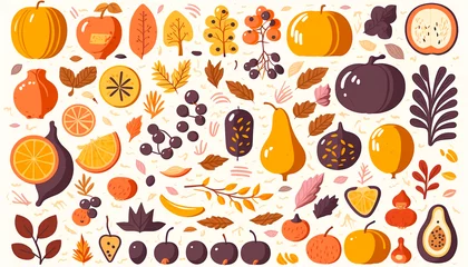 Fototapeten Beautiful vector illustrations of autumn fruits and vegetables Ideal for use in seasonal marketing materials or designs High quality graphics that can be easily resized and customized © na9179126124