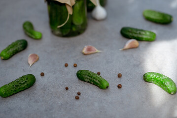 Pickled cucumbers in the jar. Ingredients for pickling cucumbers. Cucumbers, dill, garlic. Glass jars with pickles