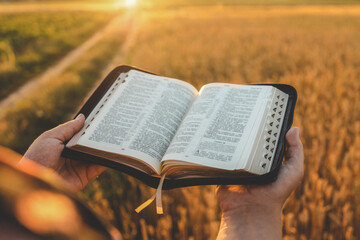 Open bible in hands, wheat field and road, christian concept