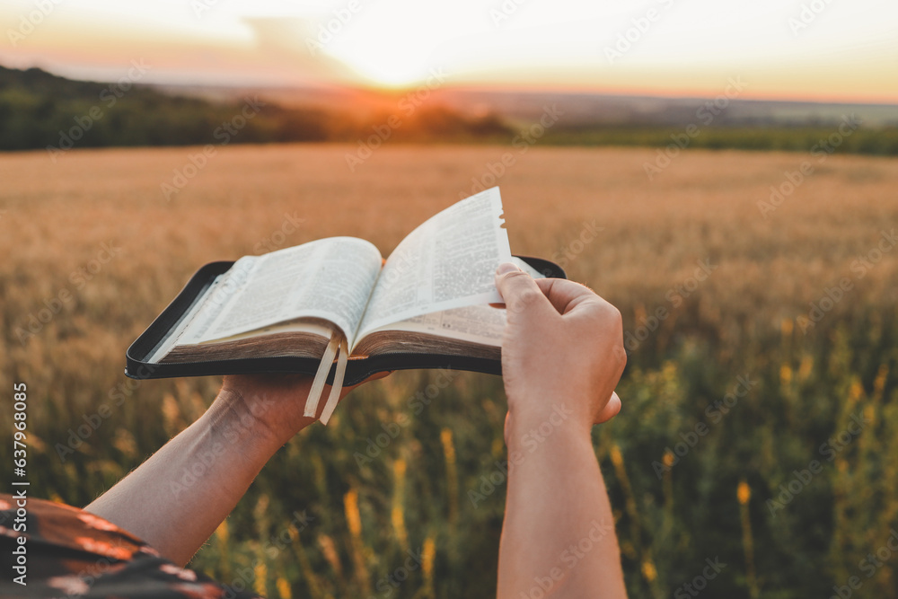 Wall mural open bible in hands, sunset in the wheat field, christian concept