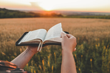 Open bible in hands, sunset in the wheat field, christian concept