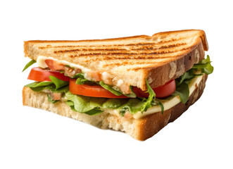 Grilled sandwich cut into pieces isolated