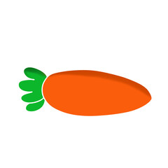 Orange carrot drawing Whole head Carrot cut into slices