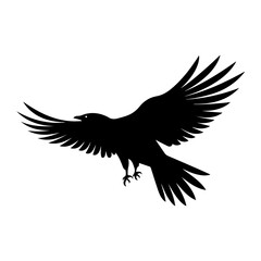 Obraz premium Crow silhouette