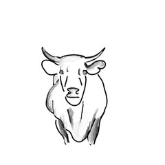 cow