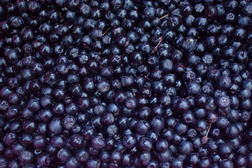 Chokeberry background