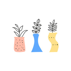 Doodle wild plants, herbs, twigs, berries in vases.