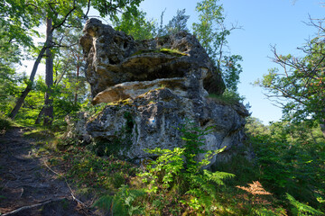 Fototapeta na wymiar Rock of the Carrosse in fontainebleau forest
