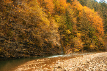 Autumn's Serenade: A Serene River Journey Through the Enchanting Forest