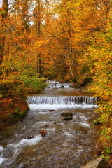 Enchanting Autumn River Amidst Narrow Mountain Gorge