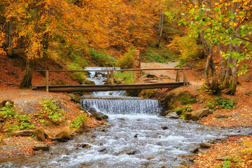 Autumn's Tranquil Stream: Wooden Bridge Amidst the Forest
