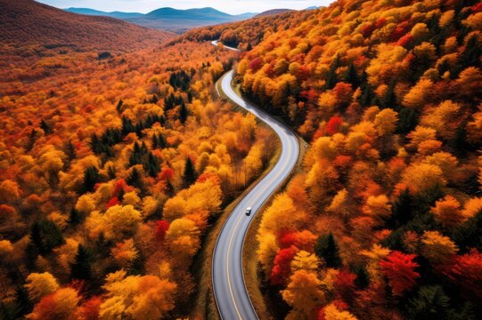 winding road in the mountains in autumn. Highway through the forest with yellow, orange and red foliage.