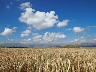 Tsalka lake in Georgia plateau, travel and tourism in Georgia