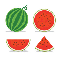 Fresh and juicy whole watermelons and slices vector