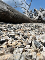 stones on the beach