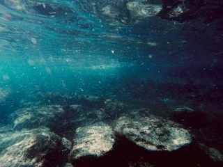Fototapete Unterwasserwelt microplastics mediterranean Sea  © D