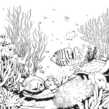 corel and fishes under water coloring page, ocean corel drawing book