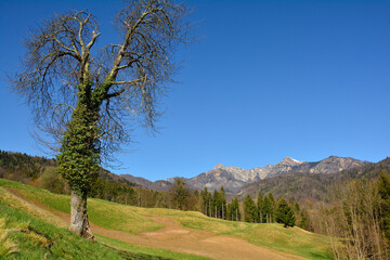 Obraz premium The early spring alpine landscape around the village of Raveo in Carnia, Udine Province, Friuli-Venezia Giulia, north east Italy