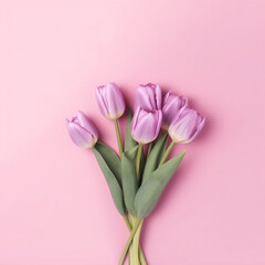 Pink Enchantment with Tulips: Color Burst in Bloom