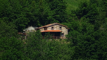 Fototapeta na wymiar Pintoresca cabaña en la montaña rodeada de bosque