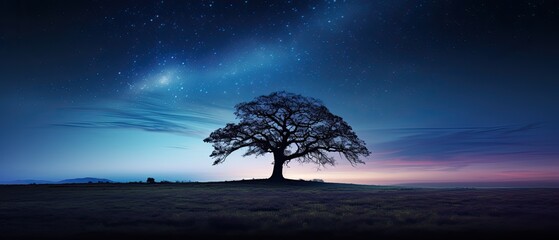 The striking silhouette of a lone tree on a grassy plain, framed against a backdrop of a starry Milky Way night sky. Background, wallpaper, modern design art. Generative AI. 