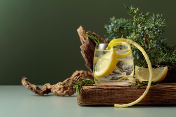 Cocktail gin-tonic with ice, lemon, and rosemary in a frozen glass.