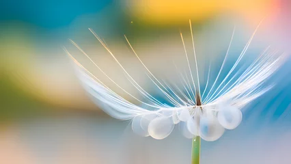 Fotobehang white flower on blue background © Adi
