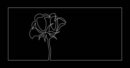 continuous line drawing vector illustration with FULLY EDITABLE STROKE - of beautiful flower bouquet invitation floral card design on black background