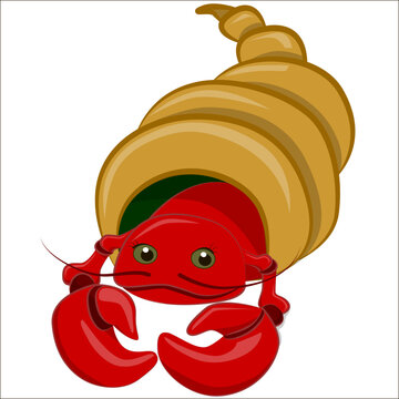 Character shrimp. Vector illustration.	
