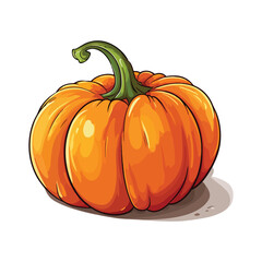 pumpkin isolated on white background