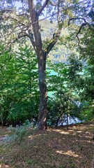 RIONERO IN VULTURE (Basilicate - Italie)