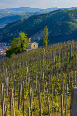 Grand cru vineyard and Chapel of Saint Christopher, Tain l'Hermitage, Rhone-Alpes, France