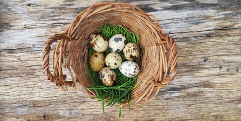 Obraz na płótnie Canvas quail eggs in a basket on wooden background