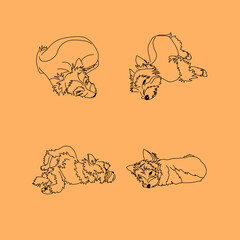 Set of four lying yorkshire terriers. Funny poses of a sleeping puppy. Linear sketches of a small dog