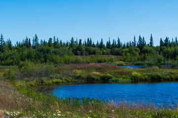 Fototapeta na wymiar Beautiful lake sparkles in sunshine in Behchoko, Northwest territories, Canada