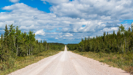 Fototapeta na wymiar Dirt road traverses through boreal forest under puffy white clouds in Wood Buffalo National Park, Canada