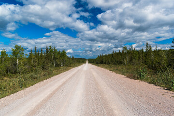 Dirt road traverses through boreal forest under puffy white clouds in Wood Buffalo National Park,...