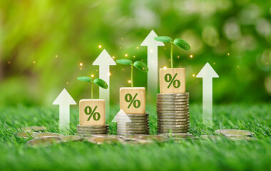 rows of money coins stacks with a percentage icon on wooden dice and growing tree on top and arrow pointing upwards over green bokeh nature background.Environment business management project concept.