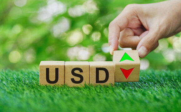 Hand turns wooden cubes with word USD and arrow down change to arrow up  or vice versa on green bokeh background.The concept of changing the value of us dollar.The rise and fall of financial markets