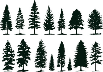Collection of Isolated Vintage Pine Trees Botanical Forest Woodland Vector Illustration Set