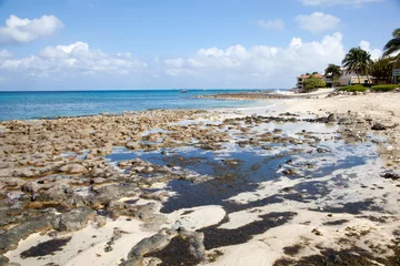 Crédence de cuisine en verre imprimé Plage de Seven Mile, Grand Cayman Grand Cayman Island Seven Mile Beach