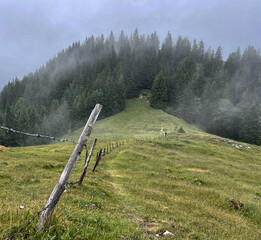 Schmaler Pfad neben einem Zaun mit Holzpfosten und Stacheldraht auf einem Berg mit Nadelwald im...