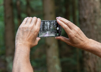 Berlin, Germany July 15 2023 Hands holding phone, taking photo of forest nature
