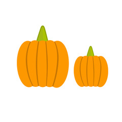 pumpkin vector