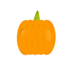 pumpkin vector
