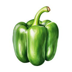 Watercolor Clipart of Green Bell Pepper